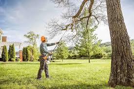 Mulching Services in Lumberton, TX