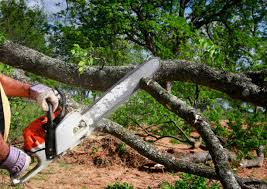 Lawn Grading and Leveling in Lumberton, TX