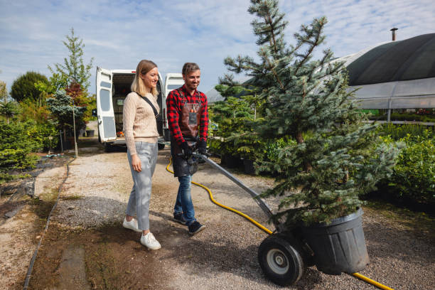 Lawn Irrigation Installation and Maintenance in Lumberton, TX